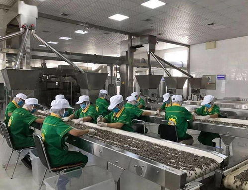 我市服裝輔料銷(xiāo)售工作成績(jī)顯著 互聯(lián)網(wǎng)營(yíng)銷(xiāo)精準(zhǔn)鏈接10萬(wàn)粉絲 全網(wǎng)曝光量突破1億次